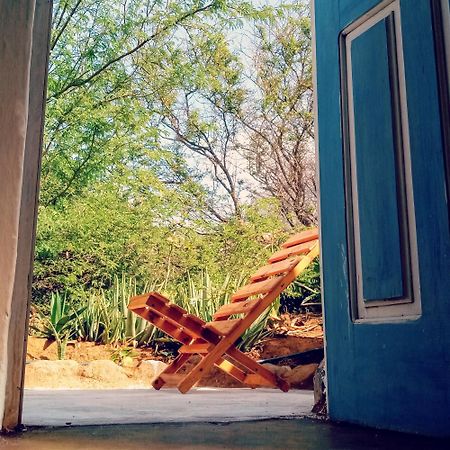 Farinha De Pau - Eco B&B Tarrafal  Стая снимка